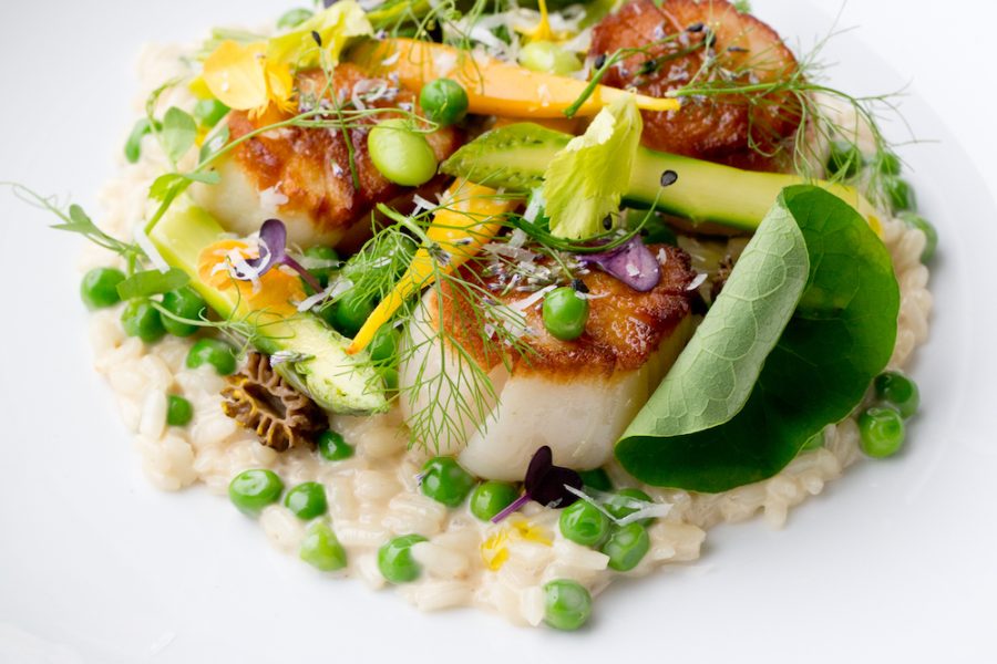 A dish with scallops, peas, rice, and vegetables on a white plate