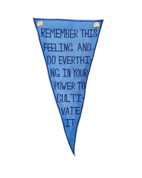 A blue wall pennant reading 