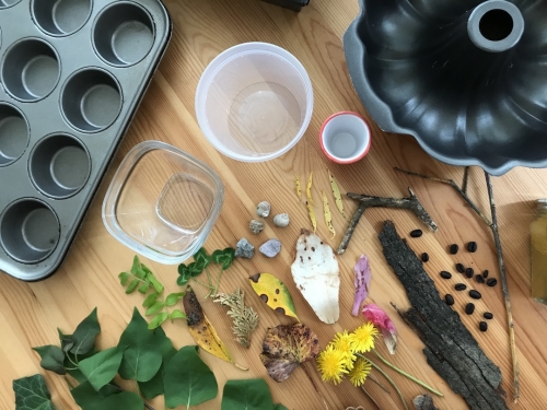 An assortment of containers, baking pan for muffins, found objects such as leaves, flowers, rocks, and other things from nature.