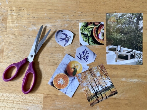 A pair of scissors with magazine cut-outs of photographs of oranges, an autumn park, a gourmet dish, an outdoor deck, and illustrations of a sparrow and leaves.