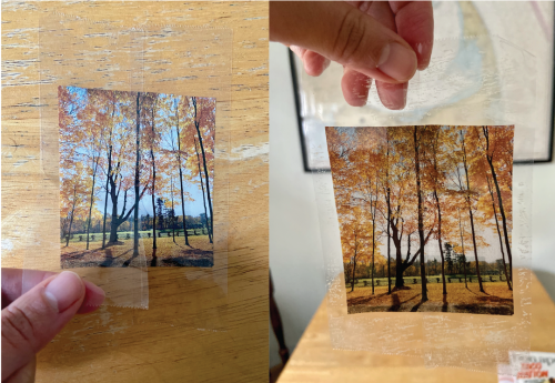 A photograph of an autumn park from a magazine cut-out is covered with clear tape on both sides.