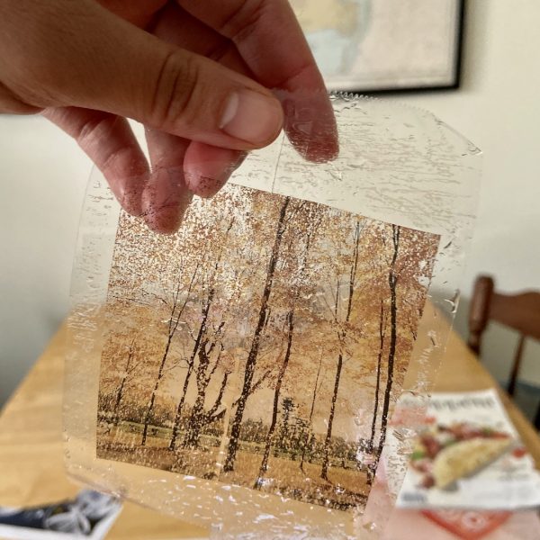A sepia-colored image of trees on two roles of transparent tape.