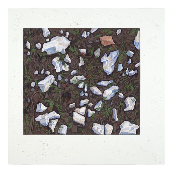 A painting of rocks and greenery on a dark brown ground, in a wide white frame with speckles.