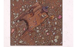 A square painting of a wooden board and nail in the brown earth surrounded by rocks and debris, presented in a pink speckled frame