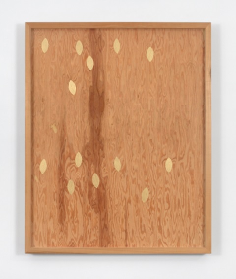 A framed panel of plywood with several gold painted leaf-shaped forms across its surface.