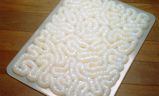A rectangular floor sculpture of white silicone rubber twisted to appear like intestines and presented on a shiny silver mat.