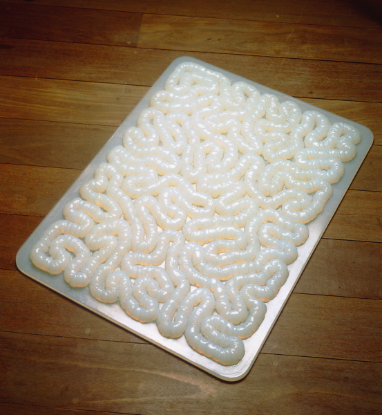 A rectangular floor sculpture of white silicone rubber twisted to appear like intestines and presented on a shiny silver mat. 
