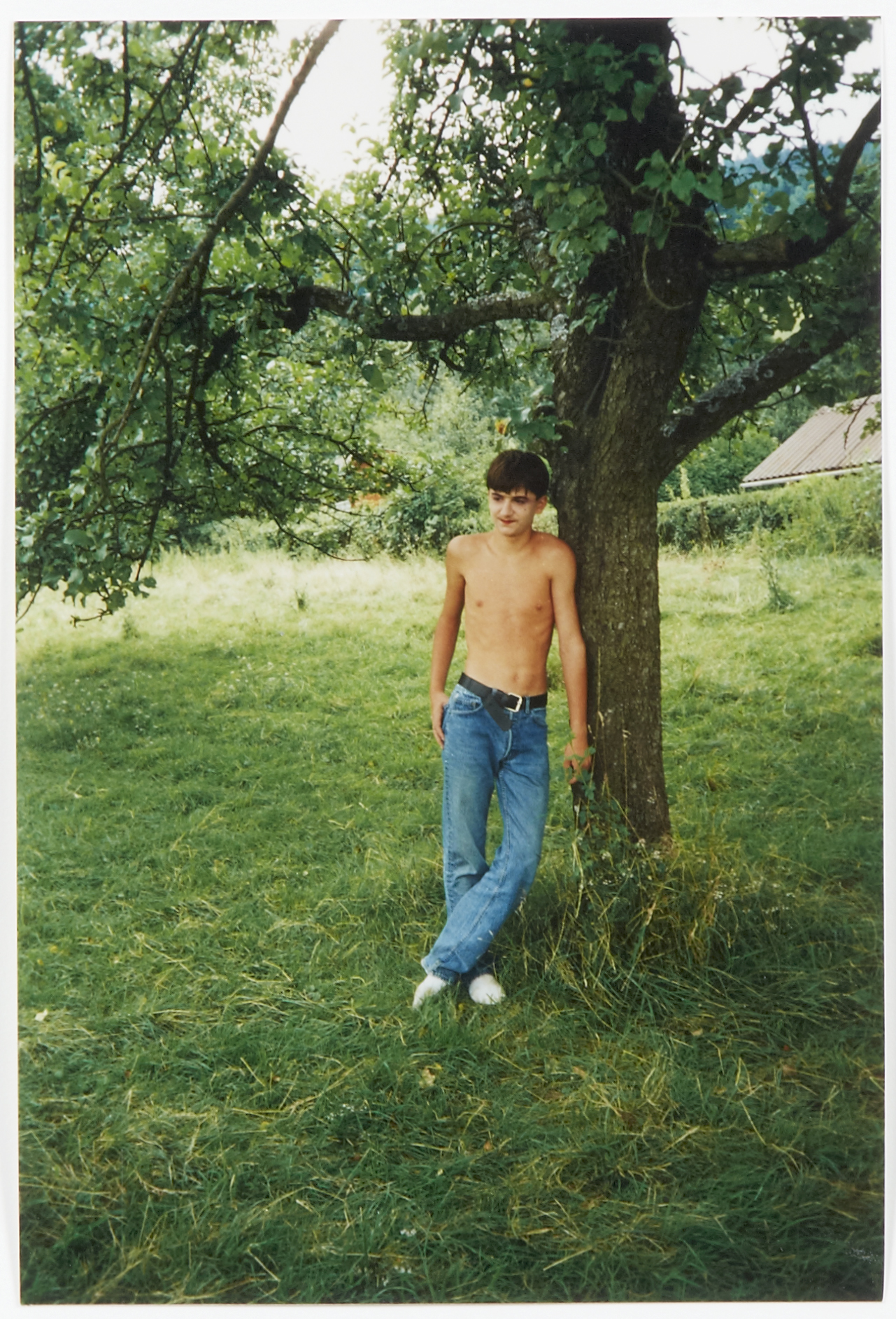A color photograph of a light-skinned, adolescent boy wearing blue jeans and no shirt leaning upright against a green tree in an open field.