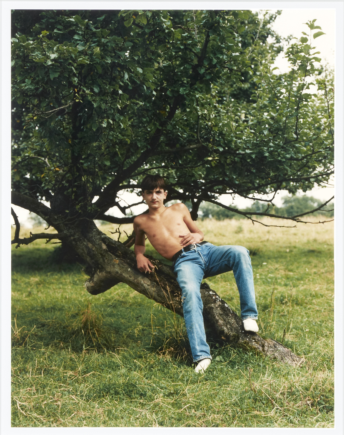 A color photograph shows a light-skinned adolescent boy wearing blue jeans and no shirt seated on a low, leaning tree in an open field.