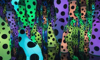 A photo shows a mirrored room filled with inflated glowing tentacles in different colors and colored with black dots of varying sizes.
