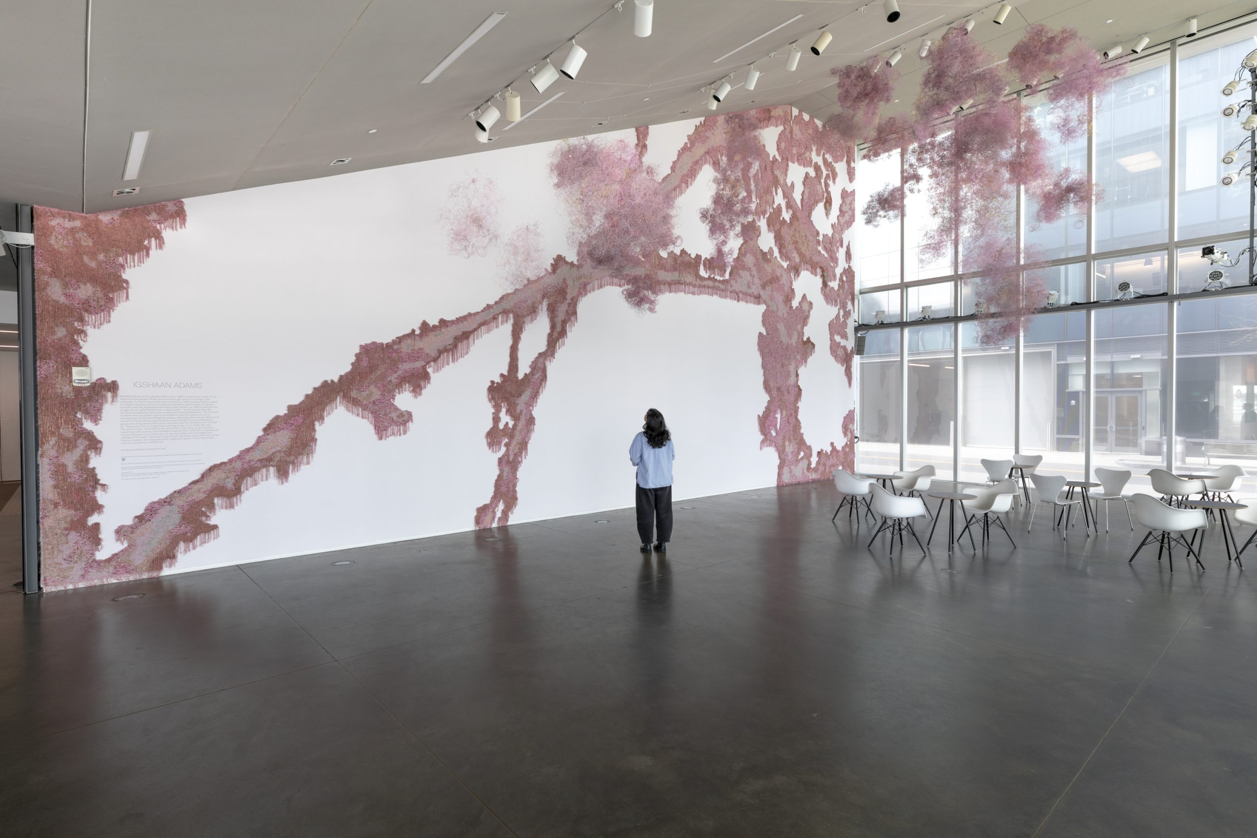 A person standing in an empty space looking at a pink wall installation with fluffy hanging components