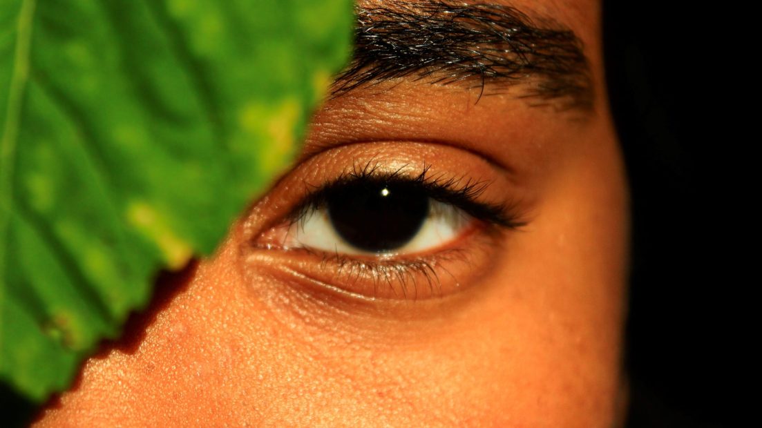 A photograph of the face of a medium to dark skinned person with a green leaf covering all but the upper left side of their face.
