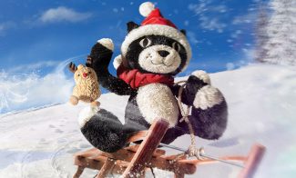 A christmas-themed stuffed cat rides a sled in the snow