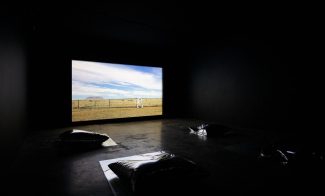 In a dark room, "Star Scores" by Roberto Carlos Lange and Kristi Sword plays softly as a large screen displays a scenic countryside image featuring a horse in a field. Reflective pillows are placed on the floor, inviting viewers to sit and immerse themselves in the tranquil experience.